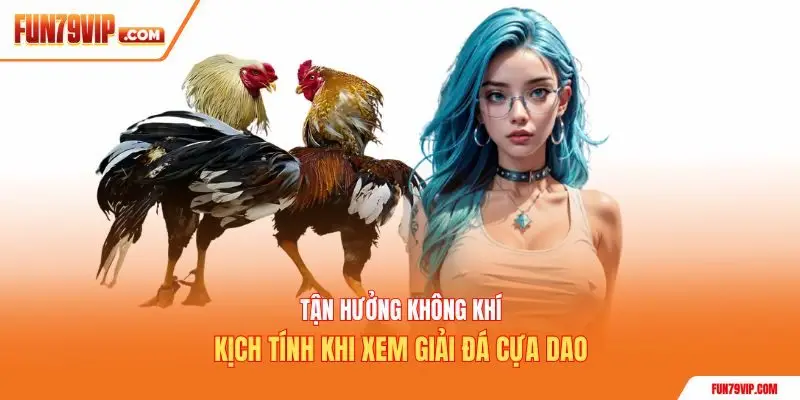 Tận hưởng không khí kịch tính khi xem giải đá cựa dao