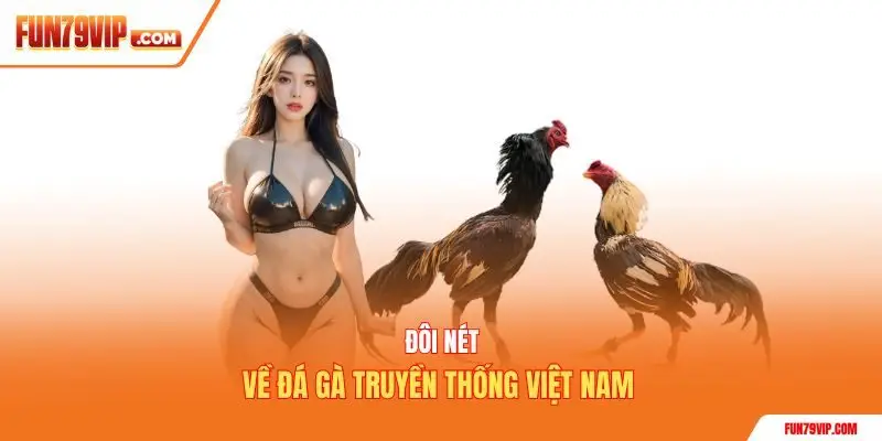 Đôi nét về đá gà truyền thống Việt Nam 